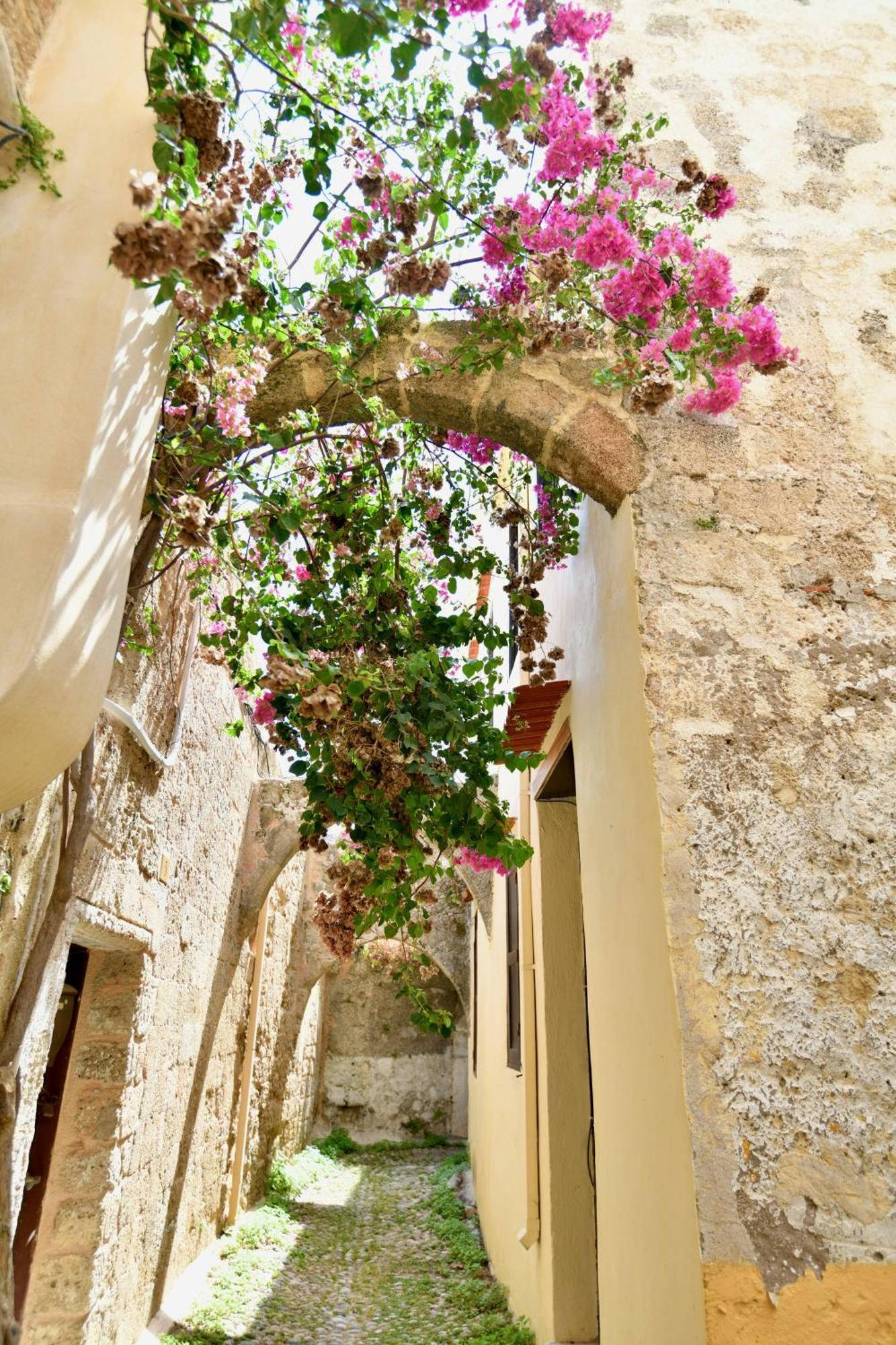 Penelope Garden House Old Town Apartment Rhodes City Luaran gambar