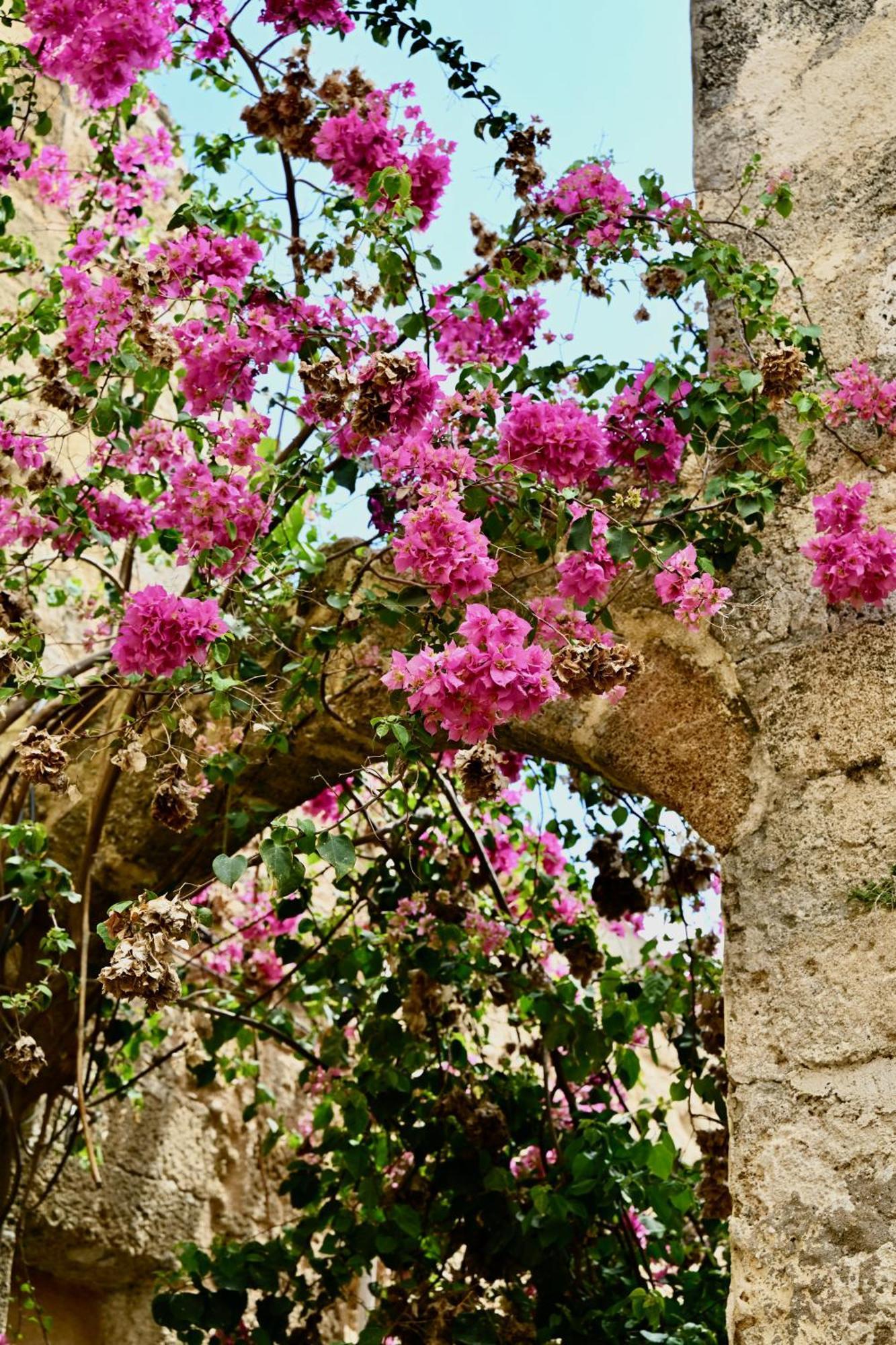 Penelope Garden House Old Town Apartment Rhodes City Luaran gambar