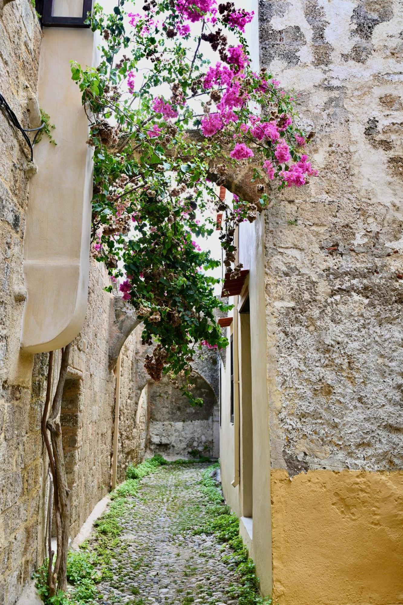 Penelope Garden House Old Town Apartment Rhodes City Luaran gambar